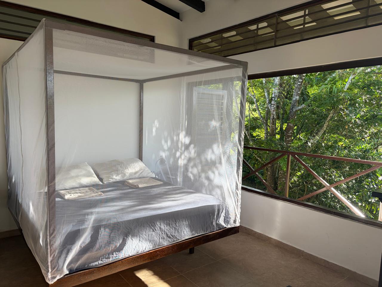 Habitación entre los árboles